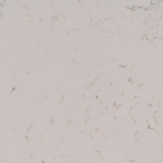 Carrara Grigio close up